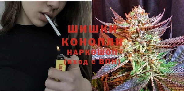 гидра Лабытнанги
