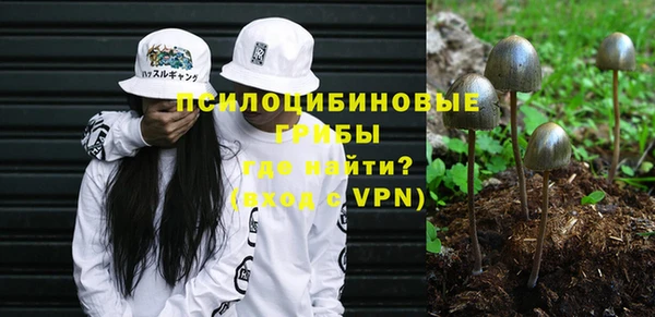 СК Липки