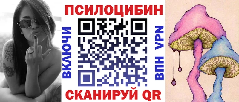 omg ссылка  Петрозаводск  Псилоцибиновые грибы Psilocybe 