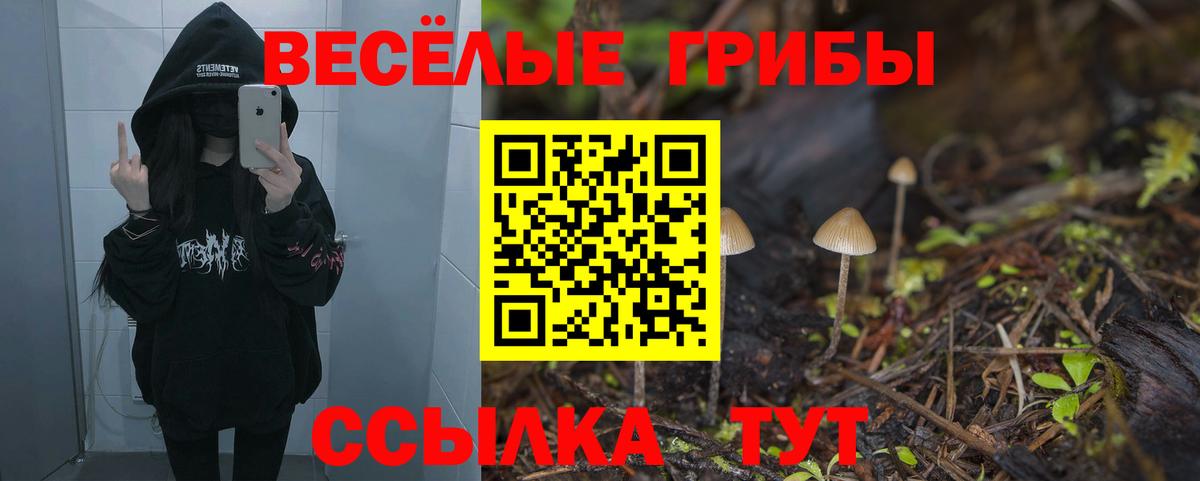 Петрозаводск  Псилоцибиновые грибы Magic Shrooms  Вход с VPN 